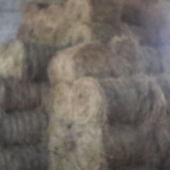 Mini round bales hay
