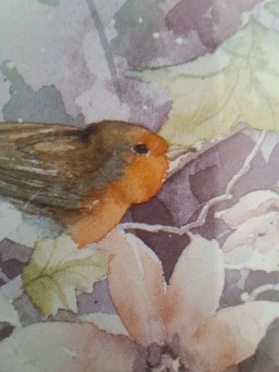 Pair 1990 Wim F Bijkerk Framed Bird Prints Signed Roy Edwards Fine Art IP43