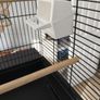 Bird cage Image 3