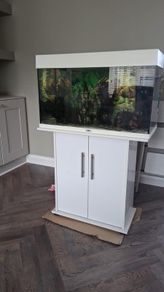 fish  Tank