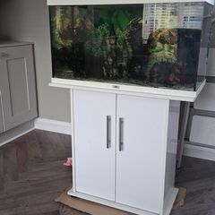 fish  Tank