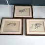 3 x Vintage Cecil Aldin prints, Terrier & Irish Wolfhound Image 10