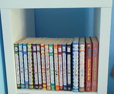 Book Collections: Dogman/ Diary of a Wimpy Kid/ David Walliams Books