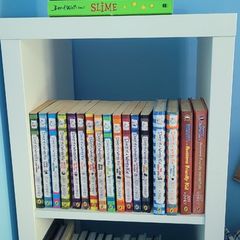 Book Collections: Dogman/ Diary of a Wimpy Kid/ David Walliams Books