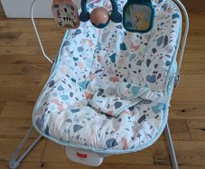 Fisher-Price Baby Bouncer