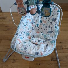 Fisher-Price Baby Bouncer