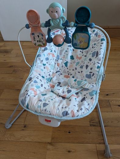 Fisher-Price Baby Bouncer