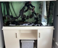 Fish tank