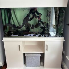 Fish tank