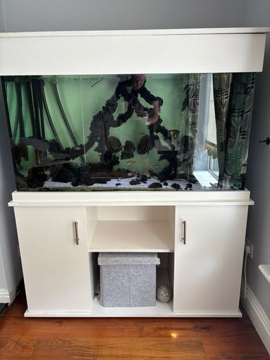 Fish tank