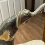 Water-buffalo horn carving Image 2