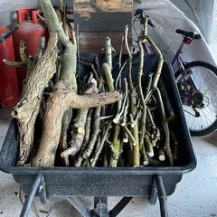 Fire Pit/burning Wood Various Size Cuts