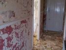 painting & decorating Image 8
