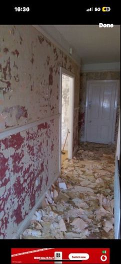 painting & decorating