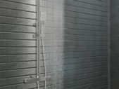 Dual Head Shower Set with Thermostat Stainless Steel