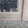 2 original pictures from irish navy ship Le Cliona Image 7