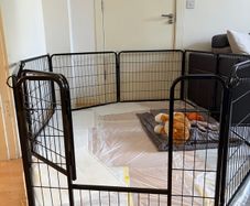 Pet Playpen