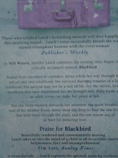 Still Waters, Jennifer Lauck, Paperback book. Non Fiction, Book