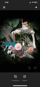 Enchanted Magical Bone Wreath with a Fox, Mushrooms, Crystals and Other Forest Findings wall hanging