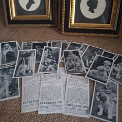 Dogs & Friend Cigarette Cards