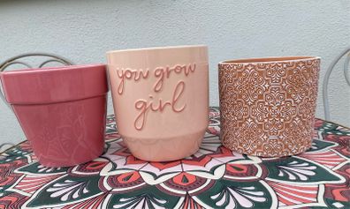 Plant Pots