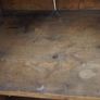 Antique Pine Pantry Cupboard / Food Press Image 8
