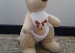 Kangaroo Soft Toy