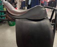 Falcon Saddle 14.5 Show Saddle/GP