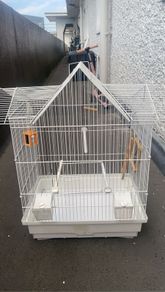 Budgie cage