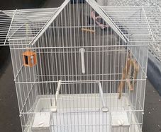 Budgie cage
