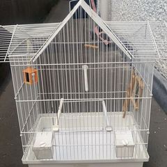 Budgie cage
