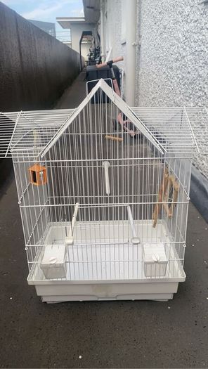 Budgie cage