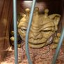 Boglins Bundle Image 3