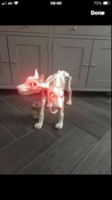 Life size skeleton dog