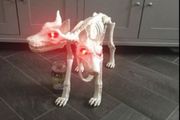 Life size skeleton dog