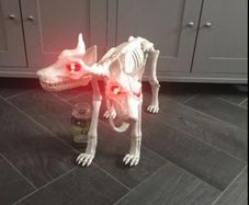 Life size skeleton dog