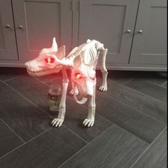 Life size skeleton dog