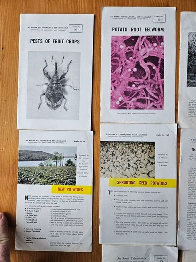 1960s Department Of Agricultural Booklets On Farming. Topics Such As Patato Growing,planting Forest Trees,desease Control And Others. In Good Condition.  See Photos For Same.