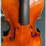 Viola Image 3