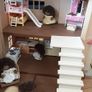 Sylvanian Families Cottage Image 6