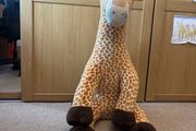 large soft giraffe