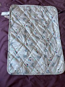 Bambino Mio Foldable Travel Changing Mat Pet Party design