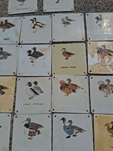 37 X Mid Century Avian Metal Display Plaques