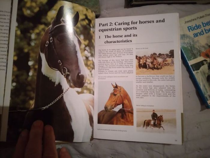 Horse / Equestrian Books