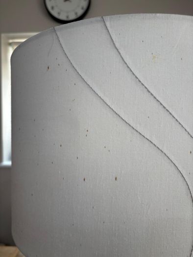 Belleek table lamp