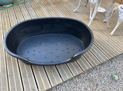 large dog bed