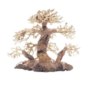Bonsai Tree Large