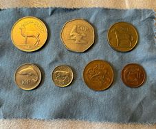 Irish coins (punt)