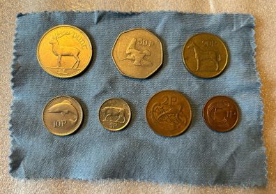 Irish coins (punt)