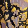 Dressy Jacket Image 3